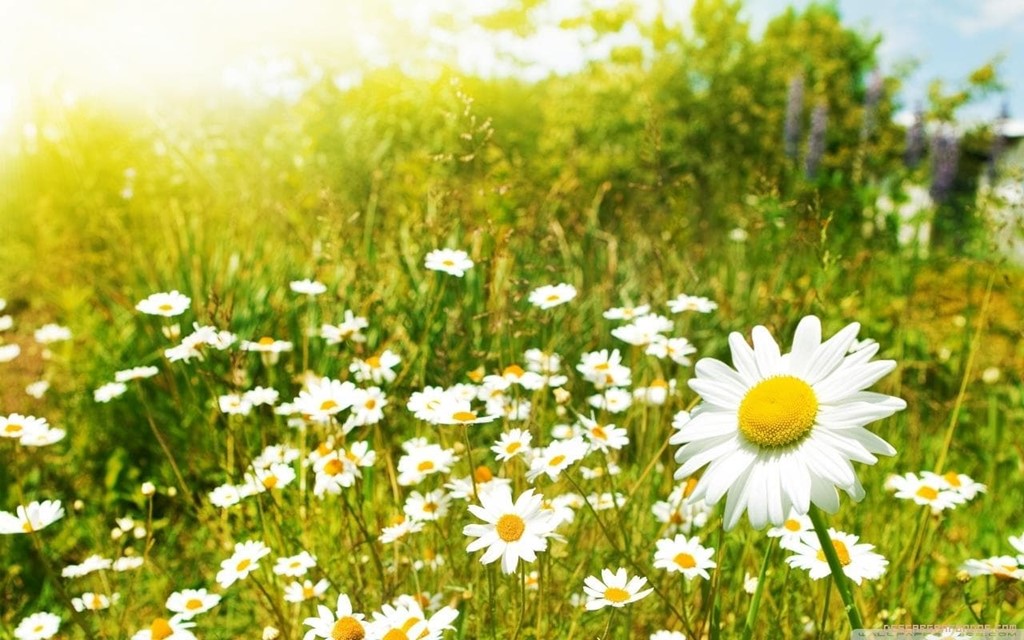 En primavera se acentúa la inestabilidad emocional